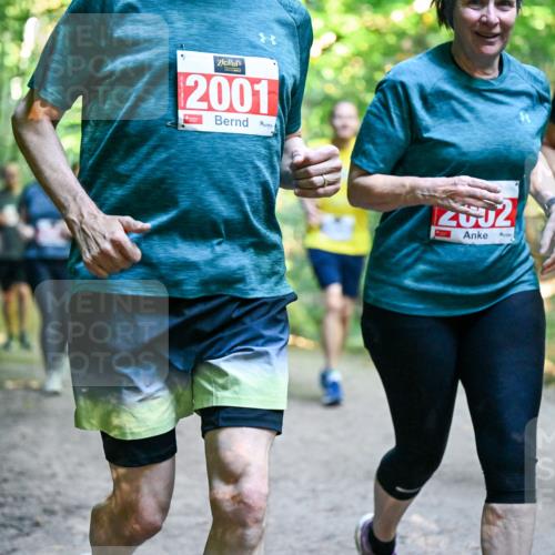 28.09.2025 - 33. Volkslauf durch das schöne Alstertal Dr. Thomas Lammeyer http://msf.ph/oto/8956825 28.09.2025 10:46:09 Laufen 2001, 2002, 3094 meine-sportfotos.de