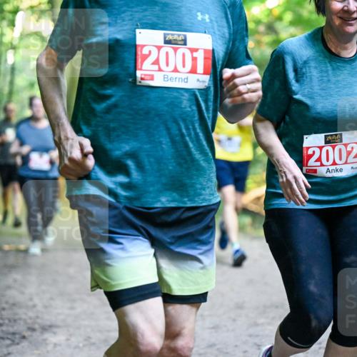 28.09.2025 - 33. Volkslauf durch das schöne Alstertal Dr. Thomas Lammeyer http://msf.ph/oto/8956826 28.09.2025 10:46:09 Laufen 2001, 2002 meine-sportfotos.de