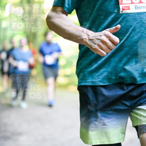 28.09.2025 - 33. Volkslauf durch das schöne Alstertal Dr. Thomas Lammeyer http://msf.ph/oto/8956831 28.09.2025 10:46:10 Laufen 20 meine-sportfotos.de