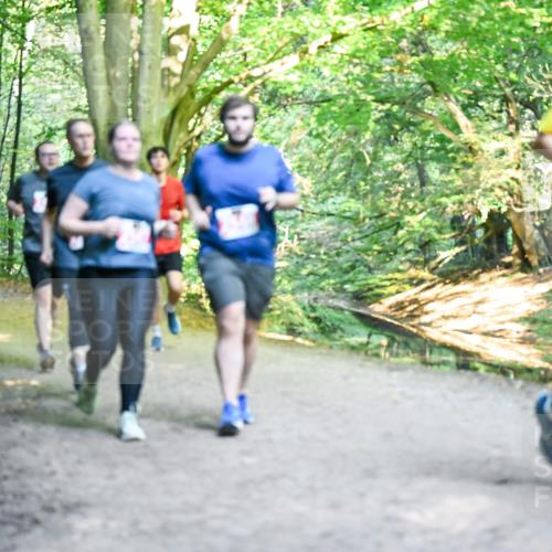 28.09.2025 - 33. Volkslauf durch das schöne Alstertal Dr. Thomas Lammeyer http://msf.ph/oto/8956833 28.09.2025 10:46:11 Laufen  meine-sportfotos.de