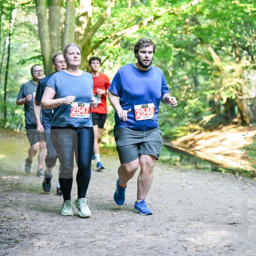 28.09.2025 - 33. Volkslauf durch das schöne Alstertal Dr. Thomas Lammeyer http://msf.ph/oto/8956836 28.09.2025 10:46:11 Laufen 2547, 2548 meine-sportfotos.de