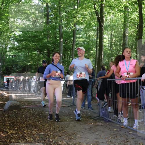 28.09.2025 - 33. Volkslauf durch das schöne Alstertal Strokosch-Dieckow http://msf.ph/oto/8956846 28.09.2025 12:55:20 Ziel 2122, 2148, 2193 meine-sportfotos.de