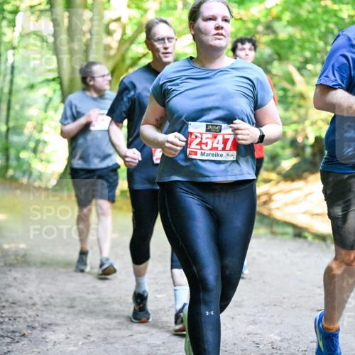 28.09.2025 - 33. Volkslauf durch das schöne Alstertal Dr. Thomas Lammeyer http://msf.ph/oto/8956849 28.09.2025 10:46:12 Laufen 2547, 2548 meine-sportfotos.de