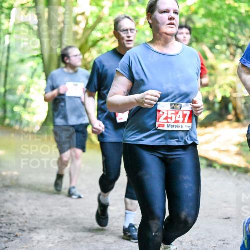 28.09.2025 - 33. Volkslauf durch das schöne Alstertal Dr. Thomas Lammeyer http://msf.ph/oto/8956850 28.09.2025 10:46:13 Laufen 2547, 254 meine-sportfotos.de