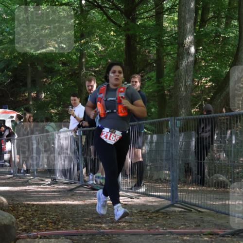 28.09.2025 - 33. Volkslauf durch das schöne Alstertal Strokosch-Dieckow http://msf.ph/oto/8956880 28.09.2025 12:56:48 Ziel 2165 meine-sportfotos.de