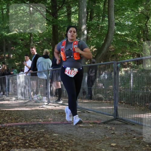 28.09.2025 - 33. Volkslauf durch das schöne Alstertal Strokosch-Dieckow http://msf.ph/oto/8956883 28.09.2025 12:56:49 Ziel 2165 meine-sportfotos.de