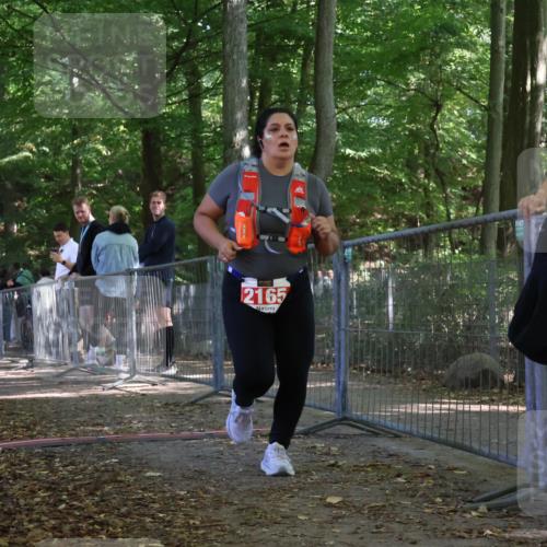 28.09.2025 - 33. Volkslauf durch das schöne Alstertal Strokosch-Dieckow http://msf.ph/oto/8956886 28.09.2025 12:56:50 Ziel 2165 meine-sportfotos.de