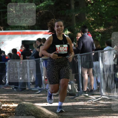 28.09.2025 - 33. Volkslauf durch das schöne Alstertal Strokosch-Dieckow http://msf.ph/oto/8956898 28.09.2025 12:58:43 Ziel 2404 meine-sportfotos.de