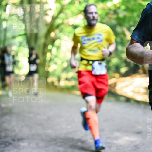 28.09.2025 - 33. Volkslauf durch das schöne Alstertal Dr. Thomas Lammeyer http://msf.ph/oto/8956902 28.09.2025 10:46:26 Laufen 2, 32 meine-sportfotos.de