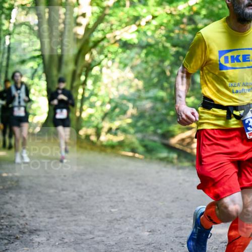28.09.2025 - 33. Volkslauf durch das schöne Alstertal Dr. Thomas Lammeyer http://msf.ph/oto/8956904 28.09.2025 10:46:27 Laufen 3, 906 meine-sportfotos.de