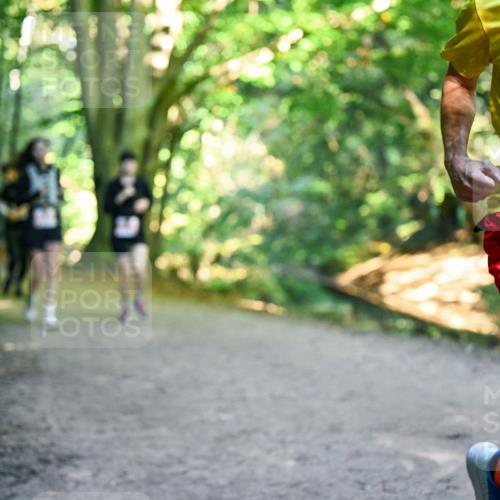 28.09.2025 - 33. Volkslauf durch das schöne Alstertal Dr. Thomas Lammeyer http://msf.ph/oto/8956905 28.09.2025 10:46:27 Laufen 390 meine-sportfotos.de