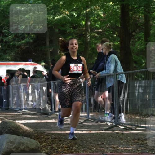 28.09.2025 - 33. Volkslauf durch das schöne Alstertal Strokosch-Dieckow http://msf.ph/oto/8956906 28.09.2025 12:58:45 Ziel 2291, 2404 meine-sportfotos.de
