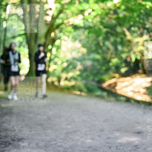 28.09.2025 - 33. Volkslauf durch das schöne Alstertal Dr. Thomas Lammeyer http://msf.ph/oto/8956907 28.09.2025 10:46:27 Laufen  meine-sportfotos.de