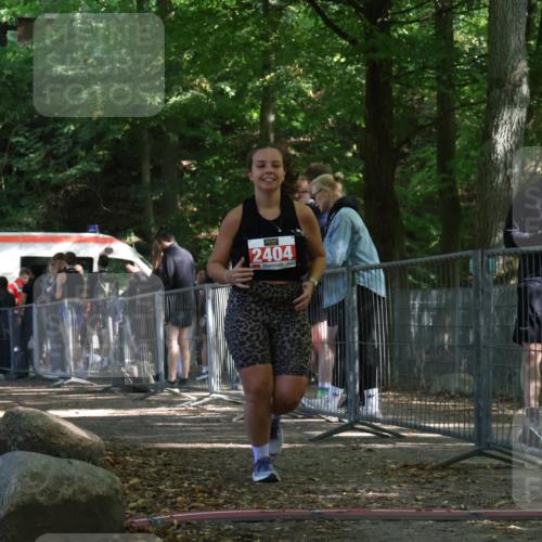 28.09.2025 - 33. Volkslauf durch das schöne Alstertal Strokosch-Dieckow http://msf.ph/oto/8956908 28.09.2025 12:58:45 Ziel 2291, 2404 meine-sportfotos.de