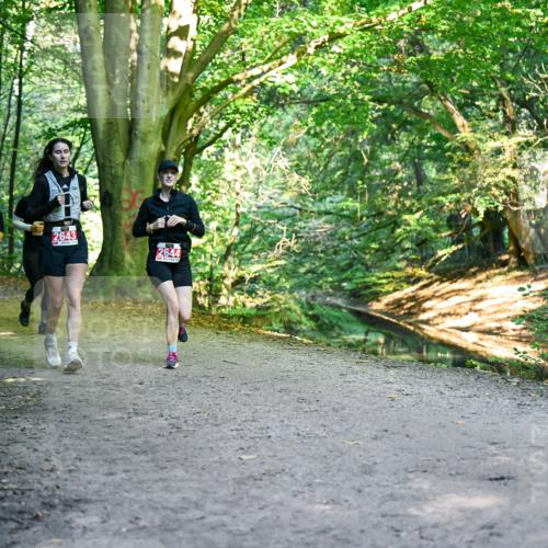 28.09.2025 - 33. Volkslauf durch das schöne Alstertal Dr. Thomas Lammeyer http://msf.ph/oto/8956910 28.09.2025 10:46:28 Laufen 2473, 2643, 2644 meine-sportfotos.de