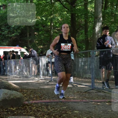 28.09.2025 - 33. Volkslauf durch das schöne Alstertal Strokosch-Dieckow http://msf.ph/oto/8956911 28.09.2025 12:58:46 Ziel 2291, 2404 meine-sportfotos.de