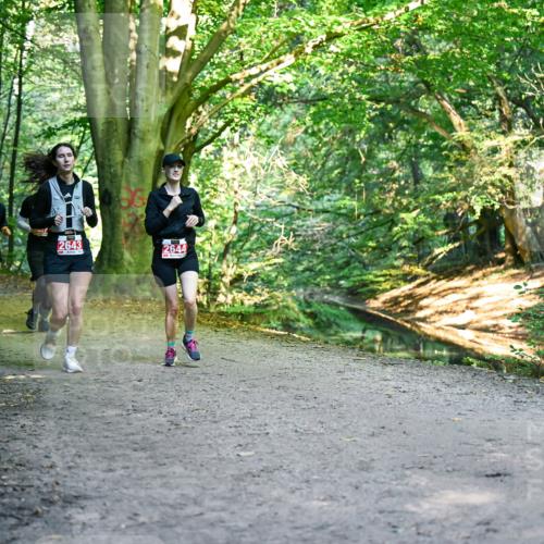 28.09.2025 - 33. Volkslauf durch das schöne Alstertal Dr. Thomas Lammeyer http://msf.ph/oto/8956912 28.09.2025 10:46:28 Laufen 2473, 2643, 2644 meine-sportfotos.de