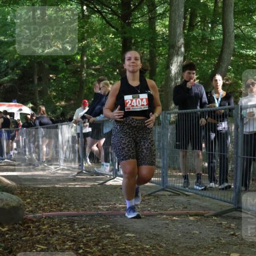 28.09.2025 - 33. Volkslauf durch das schöne Alstertal Strokosch-Dieckow http://msf.ph/oto/8956914 28.09.2025 12:58:46 Ziel 2291, 2404 meine-sportfotos.de