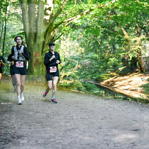 28.09.2025 - 33. Volkslauf durch das schöne Alstertal Dr. Thomas Lammeyer http://msf.ph/oto/8956915 28.09.2025 10:46:28 Laufen 2473, 2643, 2644 meine-sportfotos.de