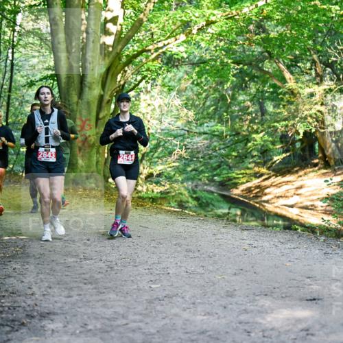 28.09.2025 - 33. Volkslauf durch das schöne Alstertal Dr. Thomas Lammeyer http://msf.ph/oto/8956916 28.09.2025 10:46:28 Laufen 2473, 2643, 2644 meine-sportfotos.de