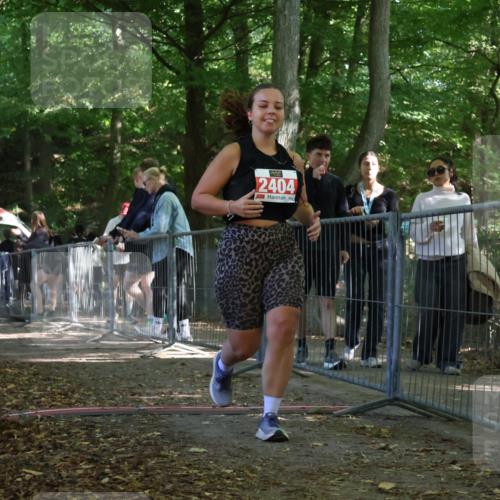 28.09.2025 - 33. Volkslauf durch das schöne Alstertal Strokosch-Dieckow http://msf.ph/oto/8956917 28.09.2025 12:58:46 Ziel 2291, 2404 meine-sportfotos.de