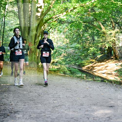 28.09.2025 - 33. Volkslauf durch das schöne Alstertal Dr. Thomas Lammeyer http://msf.ph/oto/8956918 28.09.2025 10:46:28 Laufen 2473, 2643, 1, 2644 meine-sportfotos.de
