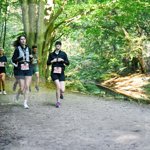 28.09.2025 - 33. Volkslauf durch das schöne Alstertal Dr. Thomas Lammeyer http://msf.ph/oto/8956919 28.09.2025 10:46:28 Laufen 2473, 2643, 3411, 2644 meine-sportfotos.de