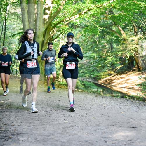 28.09.2025 - 33. Volkslauf durch das schöne Alstertal Dr. Thomas Lammeyer http://msf.ph/oto/8956923 28.09.2025 10:46:29 Laufen 2473, 2643, 411, 2644 meine-sportfotos.de