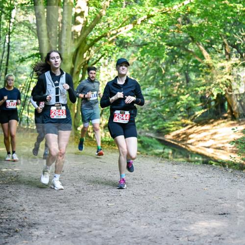 28.09.2025 - 33. Volkslauf durch das schöne Alstertal Dr. Thomas Lammeyer http://msf.ph/oto/8956925 28.09.2025 10:46:29 Laufen 2473, 2643, 2644 meine-sportfotos.de