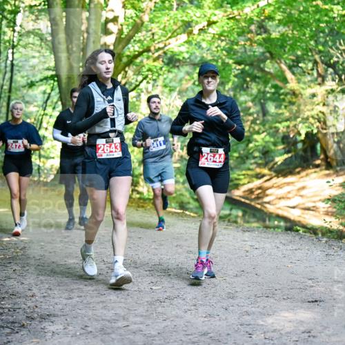 28.09.2025 - 33. Volkslauf durch das schöne Alstertal Dr. Thomas Lammeyer http://msf.ph/oto/8956931 28.09.2025 10:46:30 Laufen 2473, 2643, 2644 meine-sportfotos.de