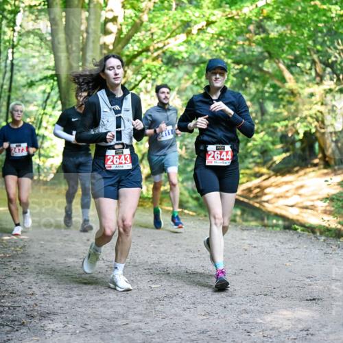 28.09.2025 - 33. Volkslauf durch das schöne Alstertal Dr. Thomas Lammeyer http://msf.ph/oto/8956932 28.09.2025 10:46:30 Laufen 2643, 2644 meine-sportfotos.de