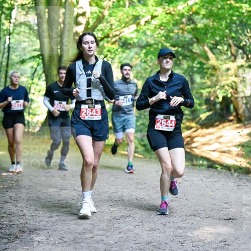 28.09.2025 - 33. Volkslauf durch das schöne Alstertal Dr. Thomas Lammeyer http://msf.ph/oto/8956934 28.09.2025 10:46:30 Laufen 2473, 2643, 2644 meine-sportfotos.de