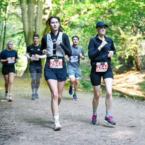 28.09.2025 - 33. Volkslauf durch das schöne Alstertal Dr. Thomas Lammeyer http://msf.ph/oto/8956936 28.09.2025 10:46:30 Laufen 2472, 2643, 2644 meine-sportfotos.de