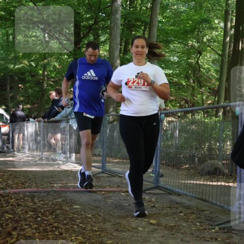28.09.2025 - 33. Volkslauf durch das schöne Alstertal Strokosch-Dieckow http://msf.ph/oto/8956939 28.09.2025 12:58:55 Ziel 2290, 2291 meine-sportfotos.de