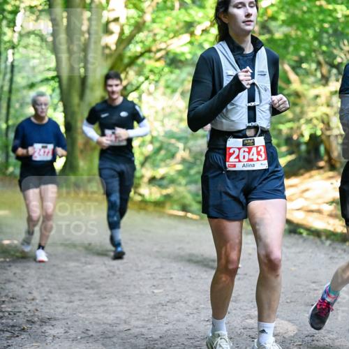 28.09.2025 - 33. Volkslauf durch das schöne Alstertal Dr. Thomas Lammeyer http://msf.ph/oto/8956944 28.09.2025 10:46:31 Laufen 2643, 2644 meine-sportfotos.de