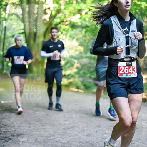 28.09.2025 - 33. Volkslauf durch das schöne Alstertal Dr. Thomas Lammeyer http://msf.ph/oto/8956947 28.09.2025 10:46:31 Laufen 2643 meine-sportfotos.de