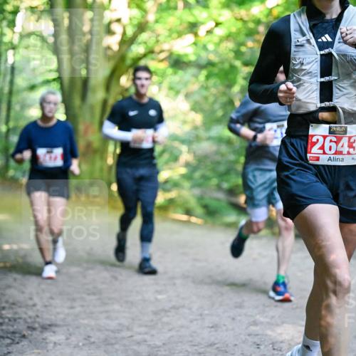 28.09.2025 - 33. Volkslauf durch das schöne Alstertal Dr. Thomas Lammeyer http://msf.ph/oto/8956949 28.09.2025 10:46:32 Laufen 2643 meine-sportfotos.de