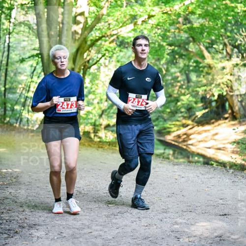 28.09.2025 - 33. Volkslauf durch das schöne Alstertal Dr. Thomas Lammeyer http://msf.ph/oto/8956953 28.09.2025 10:46:32 Laufen 2474, 2473, 3 meine-sportfotos.de