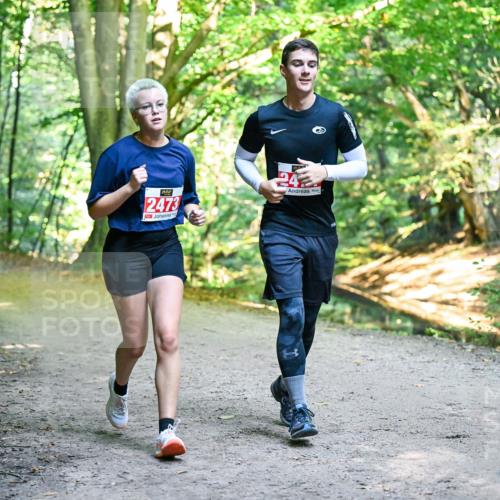 28.09.2025 - 33. Volkslauf durch das schöne Alstertal Dr. Thomas Lammeyer http://msf.ph/oto/8956955 28.09.2025 10:46:33 Laufen 2473 meine-sportfotos.de