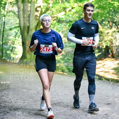 28.09.2025 - 33. Volkslauf durch das schöne Alstertal Dr. Thomas Lammeyer http://msf.ph/oto/8956960 28.09.2025 10:46:33 Laufen 2473 meine-sportfotos.de