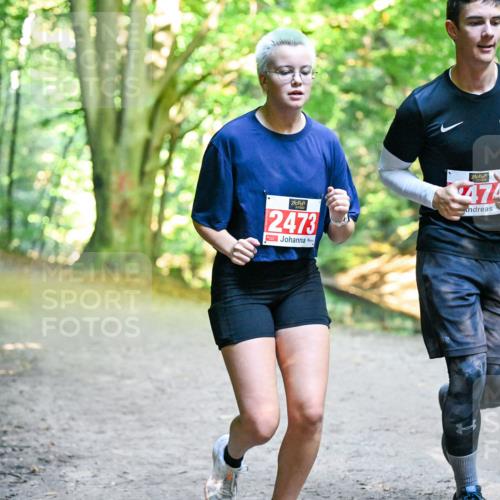 28.09.2025 - 33. Volkslauf durch das schöne Alstertal Dr. Thomas Lammeyer http://msf.ph/oto/8956966 28.09.2025 10:46:34 Laufen 2473, 474 meine-sportfotos.de