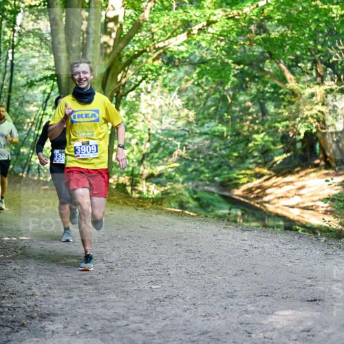 28.09.2025 - 33. Volkslauf durch das schöne Alstertal Dr. Thomas Lammeyer http://msf.ph/oto/8956968 28.09.2025 10:46:39 Laufen 336, 3909 meine-sportfotos.de