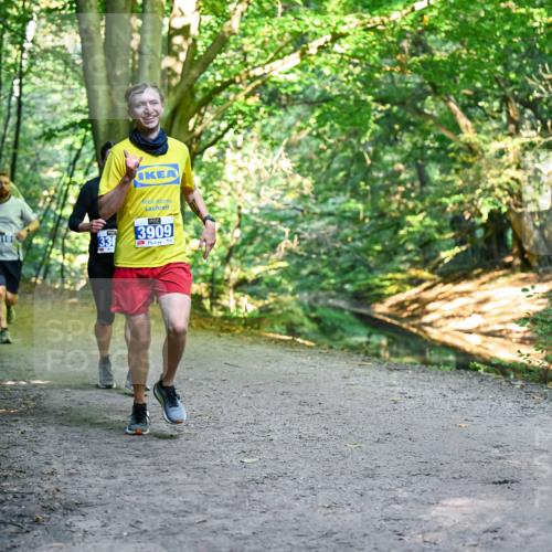 28.09.2025 - 33. Volkslauf durch das schöne Alstertal Dr. Thomas Lammeyer http://msf.ph/oto/8956969 28.09.2025 10:46:39 Laufen 33, 3909 meine-sportfotos.de
