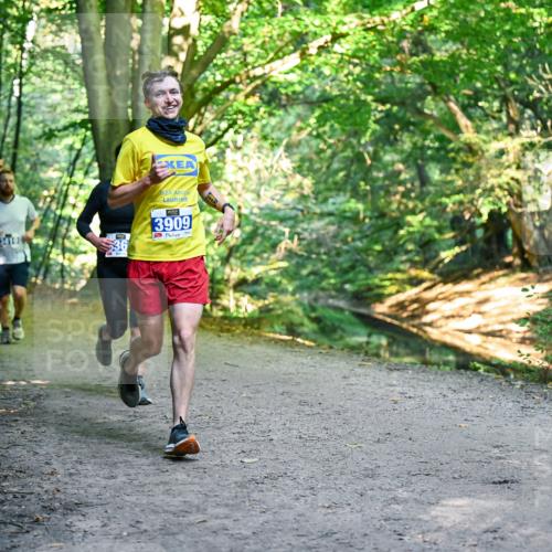28.09.2025 - 33. Volkslauf durch das schöne Alstertal Dr. Thomas Lammeyer http://msf.ph/oto/8956971 28.09.2025 10:46:39 Laufen 2, 36, 3909 meine-sportfotos.de