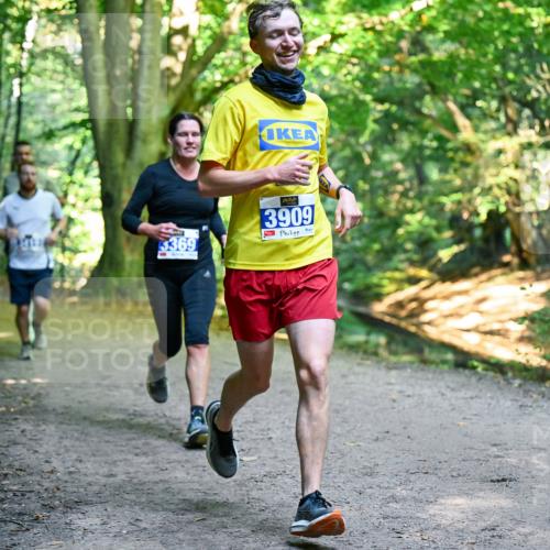 28.09.2025 - 33. Volkslauf durch das schöne Alstertal Dr. Thomas Lammeyer http://msf.ph/oto/8956979 28.09.2025 10:46:40 Laufen 3369, 3909 meine-sportfotos.de
