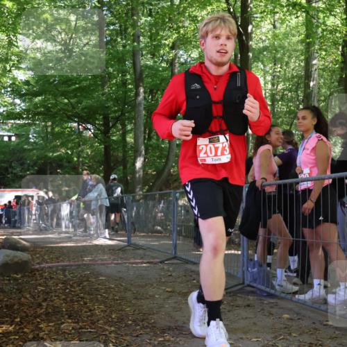 28.09.2025 - 33. Volkslauf durch das schöne Alstertal Strokosch-Dieckow http://msf.ph/oto/8956981 28.09.2025 12:59:15 Ziel  meine-sportfotos.de