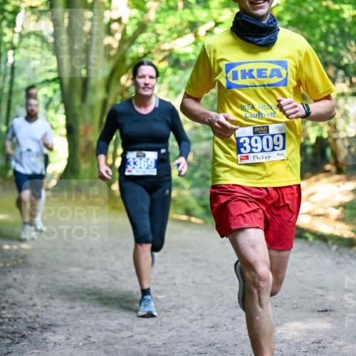 28.09.2025 - 33. Volkslauf durch das schöne Alstertal Dr. Thomas Lammeyer http://msf.ph/oto/8956984 28.09.2025 10:46:40 Laufen 3369, 3909 meine-sportfotos.de