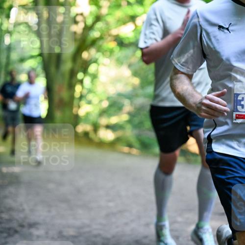 28.09.2025 - 33. Volkslauf durch das schöne Alstertal Dr. Thomas Lammeyer http://msf.ph/oto/8957011 28.09.2025 10:46:43 Laufen 3419 meine-sportfotos.de