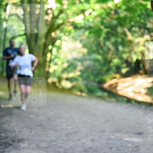 28.09.2025 - 33. Volkslauf durch das schöne Alstertal Dr. Thomas Lammeyer http://msf.ph/oto/8957016 28.09.2025 10:46:44 Laufen 2000, 13 meine-sportfotos.de