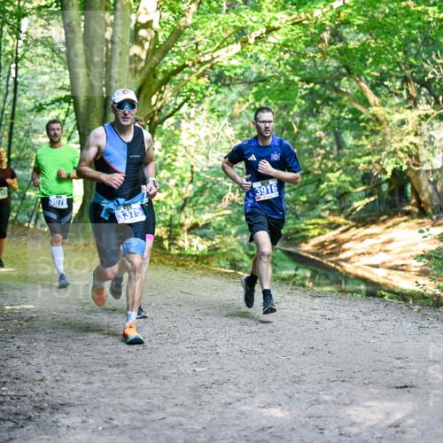 28.09.2025 - 33. Volkslauf durch das schöne Alstertal Dr. Thomas Lammeyer http://msf.ph/oto/8957046 28.09.2025 10:46:52 Laufen 19, 3078, 3375, 3916 meine-sportfotos.de